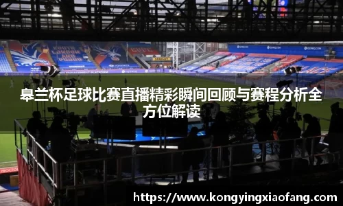 熊猫体育官网