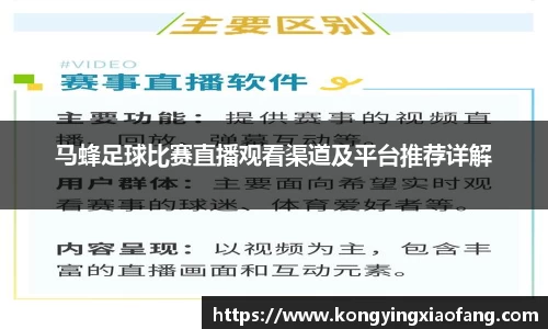 熊猫体育官网
