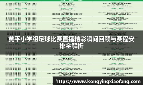 熊猫体育直播