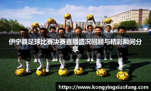 熊猫体育直播