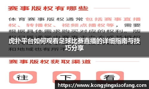 熊猫体育