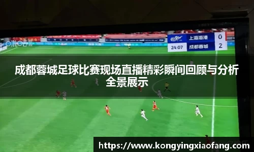 熊猫体育