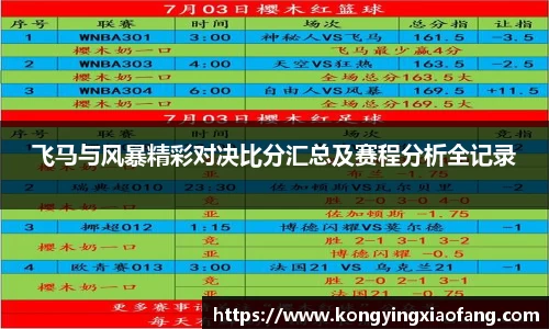 飞马与风暴精彩对决比分汇总及赛程分析全记录
